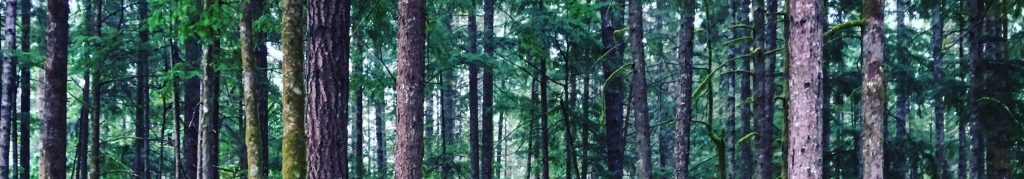 Reads for the Head and Heart, August&nbsp;2022